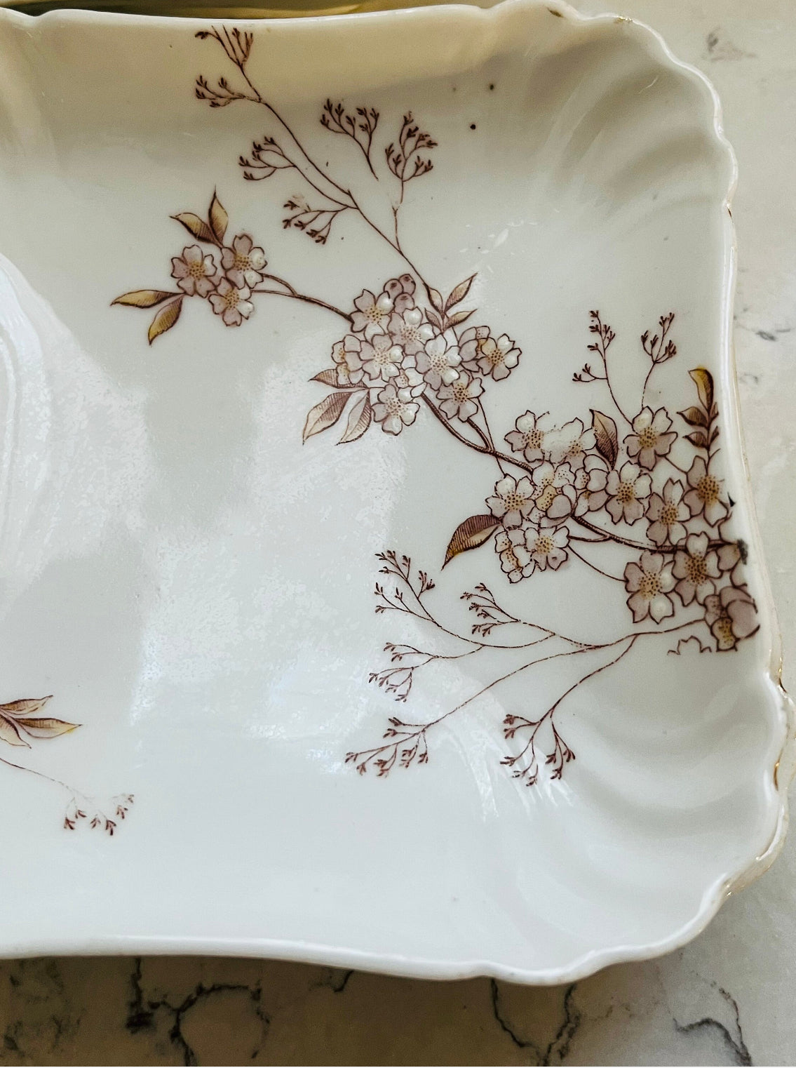 Set of 5 Antique Karlsbad Austrian Floral Porcelain Square Plates (Circa 1960s) 