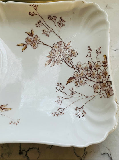 Set of 5 Antique Karlsbad Austrian Floral Porcelain Square Plates (Circa 1960s) 