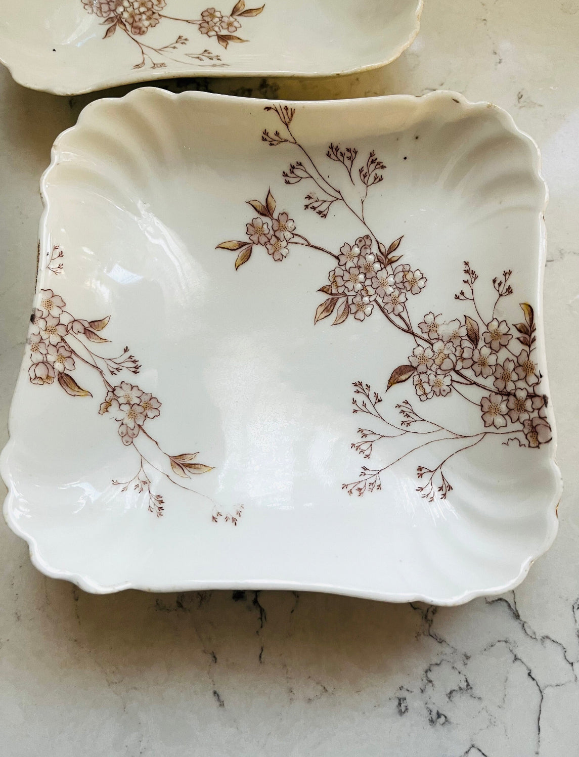 Set of 5 Antique Karlsbad Austrian Floral Porcelain Square Plates (Circa 1960s) 