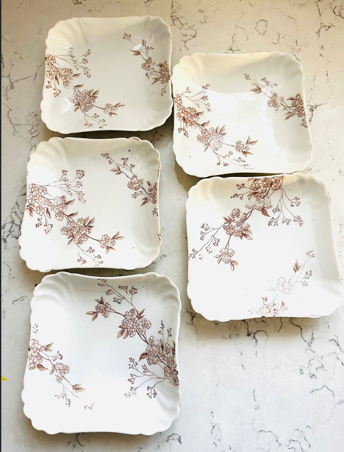 Set of 5 Antique Karlsbad Austrian Floral Porcelain Square Plates (Circa 1960s) 